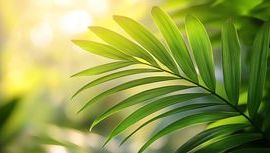 Leaf 173.jpg