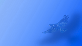 AIMA-ADFW 2025 - BANNER for web.png