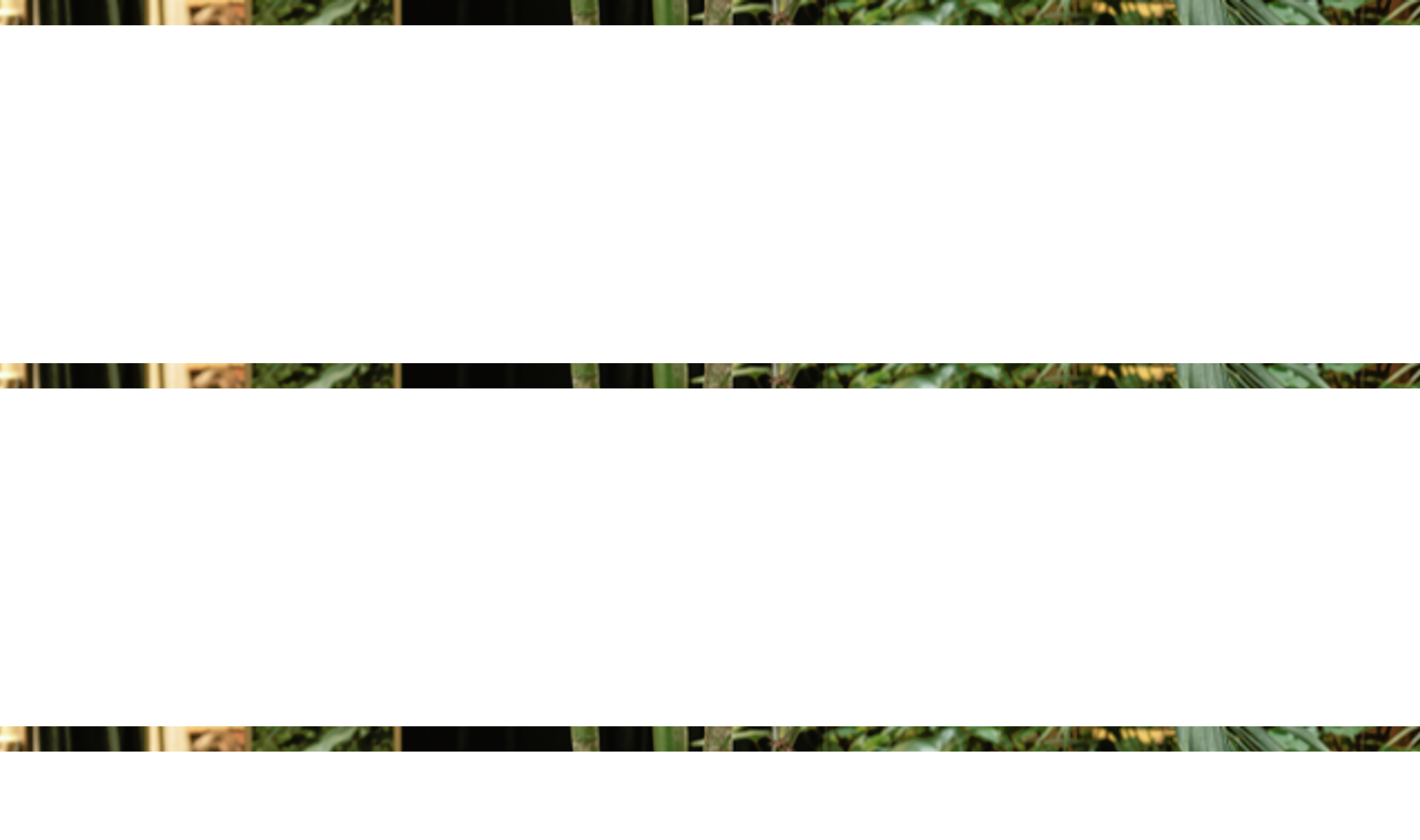 logo 1.PNG