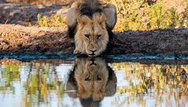 Hedgeweek report 2026 - shutterstock_2579644313.jpg