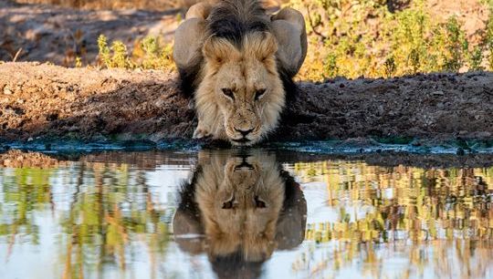 Hedgeweek report 2026 - shutterstock_2579644313.jpg