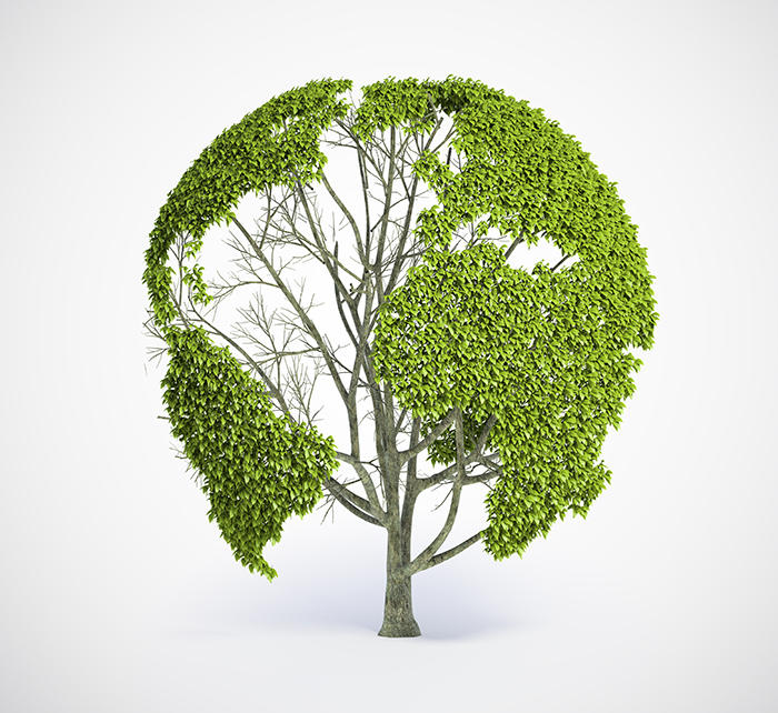 tree world.jpg2