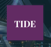 TIDE Banner Cube.png